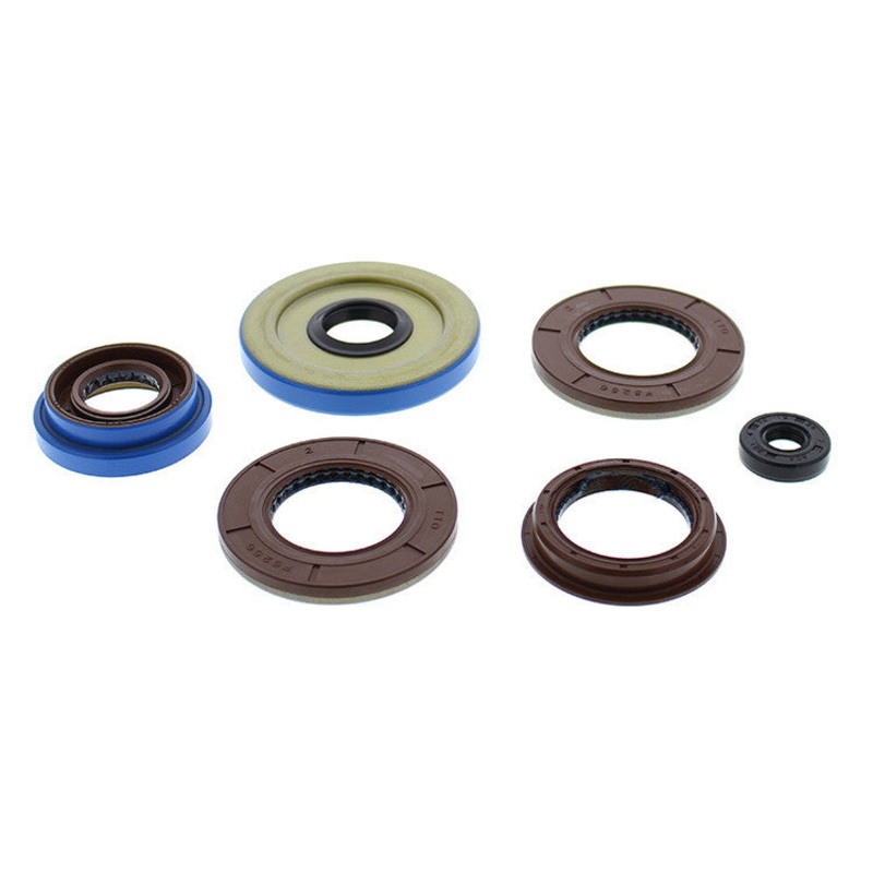VERTEX OIL SEAL SET 822198