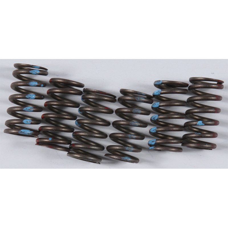 KG HIGH PERFORMANCE SPRING SET KGS-028